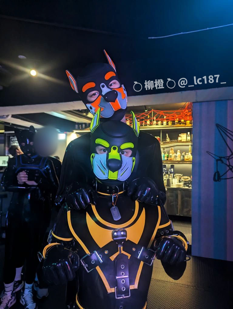 凹嗚~
💛 : <a href="/Miffy20220222/">米飛</a> 
🍺 : <a href="/wanhuai250201/">玩壞bar</a> 
#rubber #latex #puppy