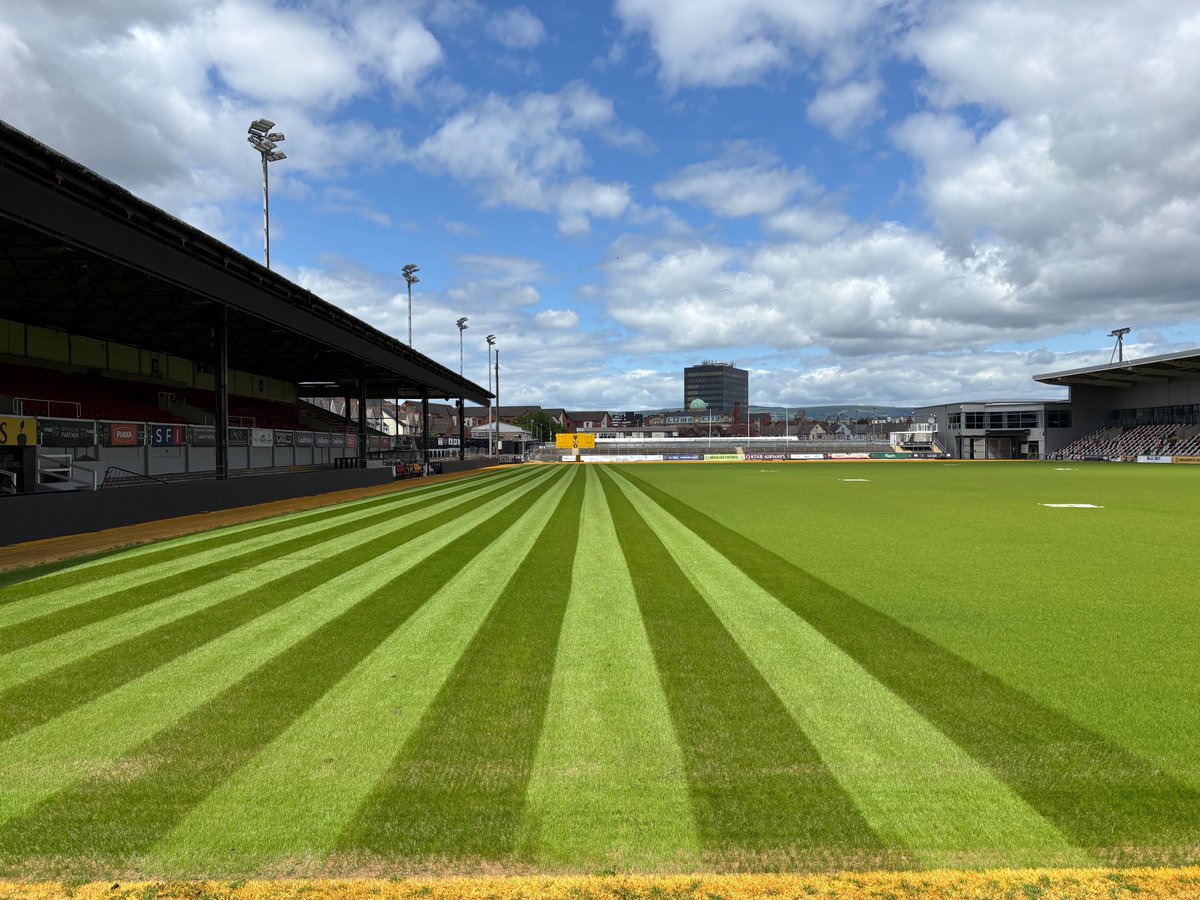 Dragons RFC 🐉 tweet media