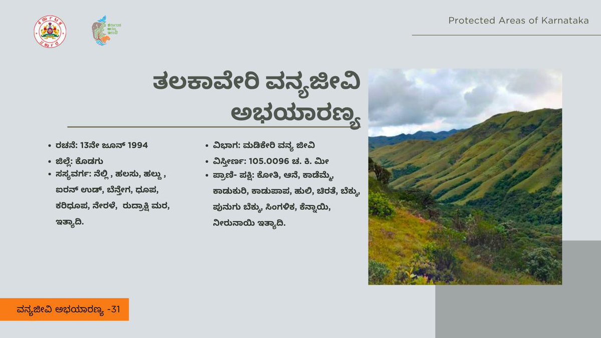 aranya_kfd's tweet photo. ಕಾವೇರಿ ನದಿಯ ಪವಿತ್ರ ಉಗಮಸ್ಥಾನವಾದ ತಲಕಾವೇರಿ, ಕೇವಲ ಆಧ್ಯಾತ್ಮಿಕ ತಾಣವಲ್ಲ, ಬದಲಾಗಿ ವನ್ಯಜೀವಿಯ ಅಭಯಾರಣ್ಯವೂ ಆಗಿದೆ. ತಲಕಾವೇರಿ ವನ್ಯಜೀವಿ ಅಭಯಾರಣ್ಯವು ವೈವಿಧ್ಯಮಯ ಸಸ್ಯ ಮತ್ತು ಪ್ರಾಣಿಗಳಿಗೆ ನೆಲೆಯಾಗಿದೆ. ಈ ಅಭಯಾರಣ್ಯದ ಶ್ರೀಮಂತಿಕೆಯ ಬಗ್ಗೆ ತಿಳಿಯೋಣ
#talacauvery
#KFDPAseries #ProtectedAreas #Karnataka #madkeri https://t.co/pSLB6WP5TZ