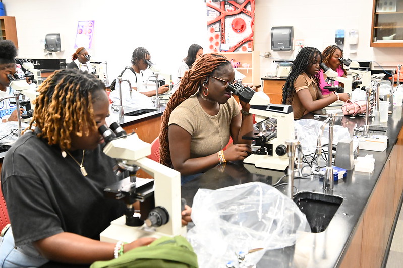 Focused, curious, and ready to lead the future of healthcare and science! Students in the #AlbanyState Summer Health and STEM Academy are diving into hands-on learning — like this classroom moment exploring the microscopic world.