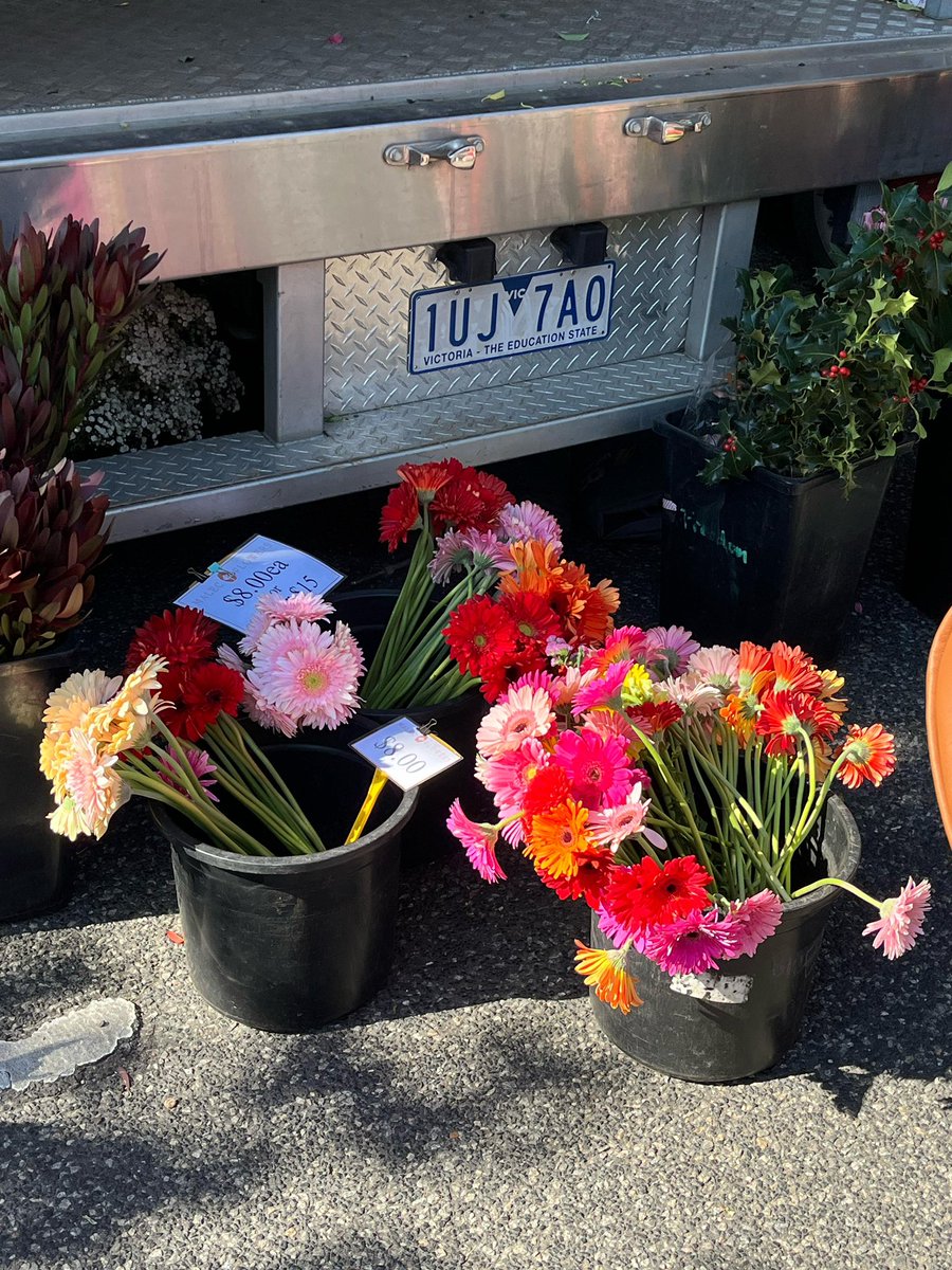 zhafiranisrina_'s tweet photo. Love those flower markets in Melbourne. 💐 https://t.co/Pco5TTwk9Z