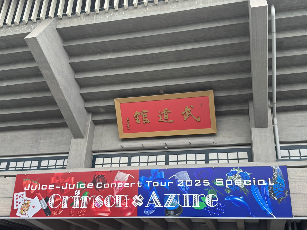 急遽、
お誘いを頂き、
参加してきました。

NEXT is you!
→武道館で聞けて、
　おっーとなりました。

CHOICE&amp;CHANCE
→あの風景をどうしても、
　思い出してしまいました🙄

juice=juiceの個性が
良い意味でぶつかり合う
楽しいライブでした‼️