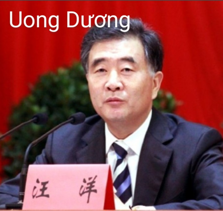 Vũ Việt Vương tweet media