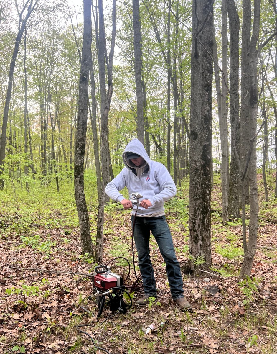 College_Works's tweet image. Office views don’t get better than this 🌲
We spent the day painting a house in the woods. Good work, good people, and plenty of fresh air.

Cool job sites are just part of the College Works experience.

#CollegeWorks #InternshipGoals #WorkOutside #NatureVibes #PaintCrewLife
