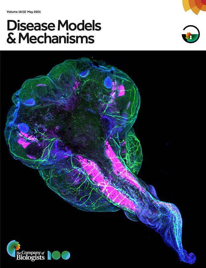 Issue 5 is all yours to explore! 

On the cover: Henrike Berns et al. show a two-headed Xenopus laevis embryo stained for a subset of hindbrain spinal-cord projecting neurons (green), filamentous actin (pink) and nuclei (blue).

bit.ly/4lktg1z