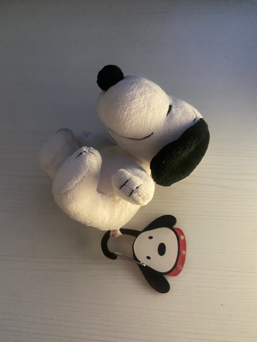 cluewia's tweet photo. got my snoopy carabiners shipped today ⭐️ https://t.co/1g37T5Uf29