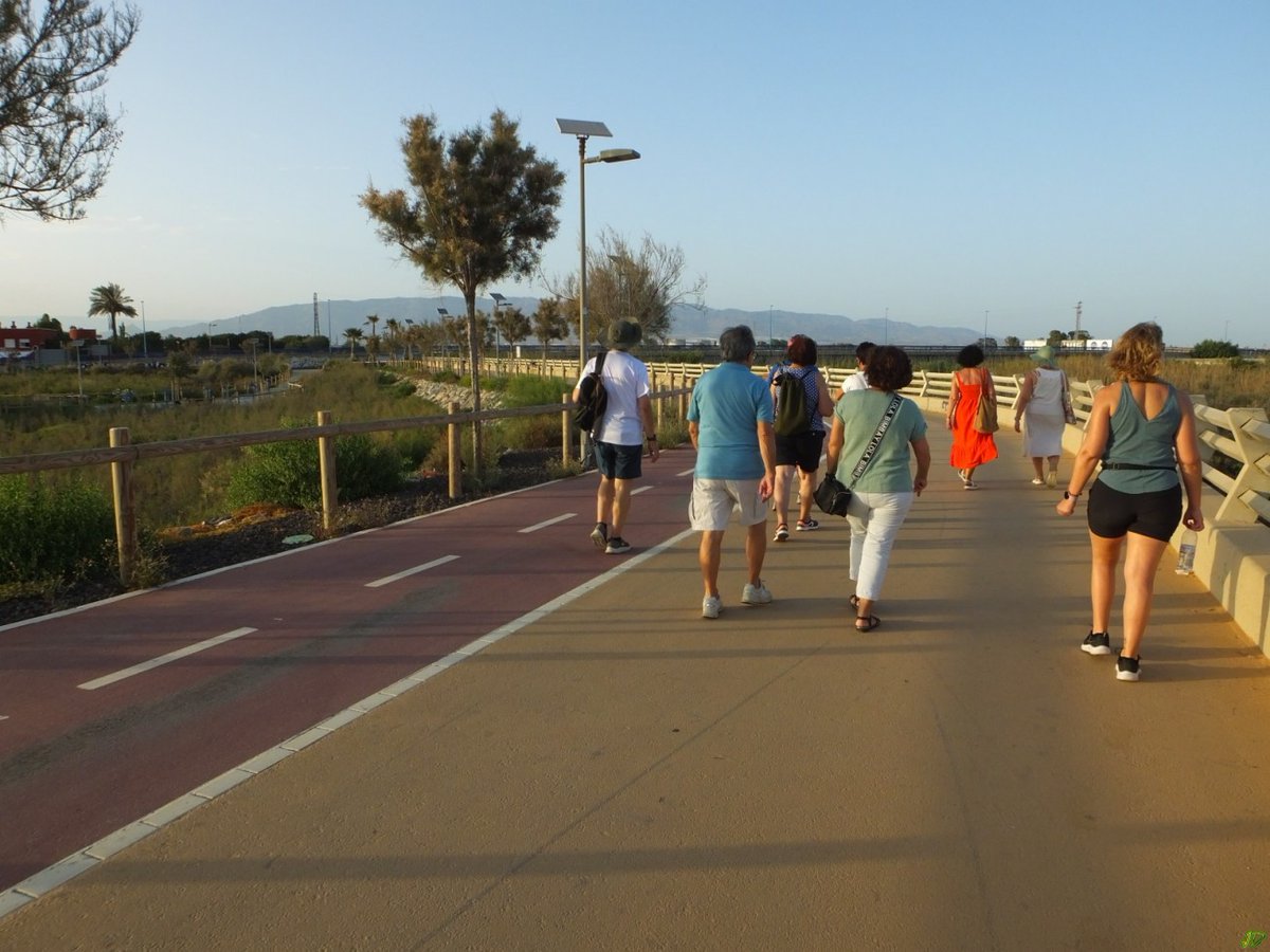 Los almerienses caminan entre parques en un nuevo sendero urbano patrimonial

Diez rutas se desarrollarán a lo largo de 2025 para fomentar la práctica de la actividad física y acercar la belleza ambiental y cultural de la ciudad