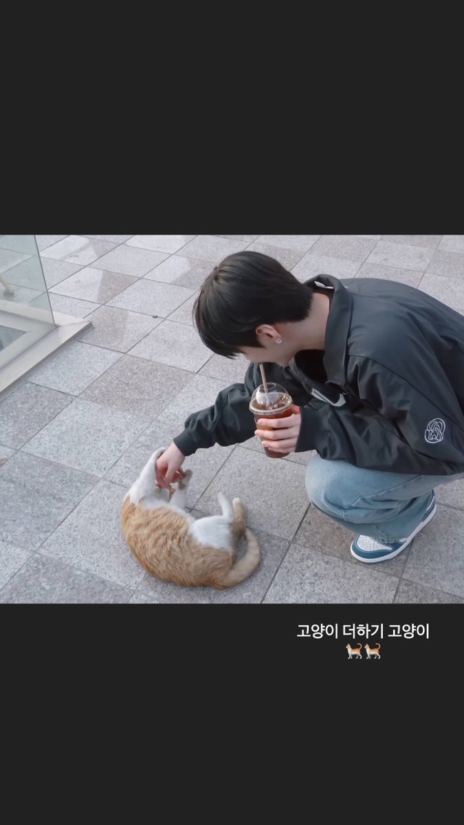 형 tweet media