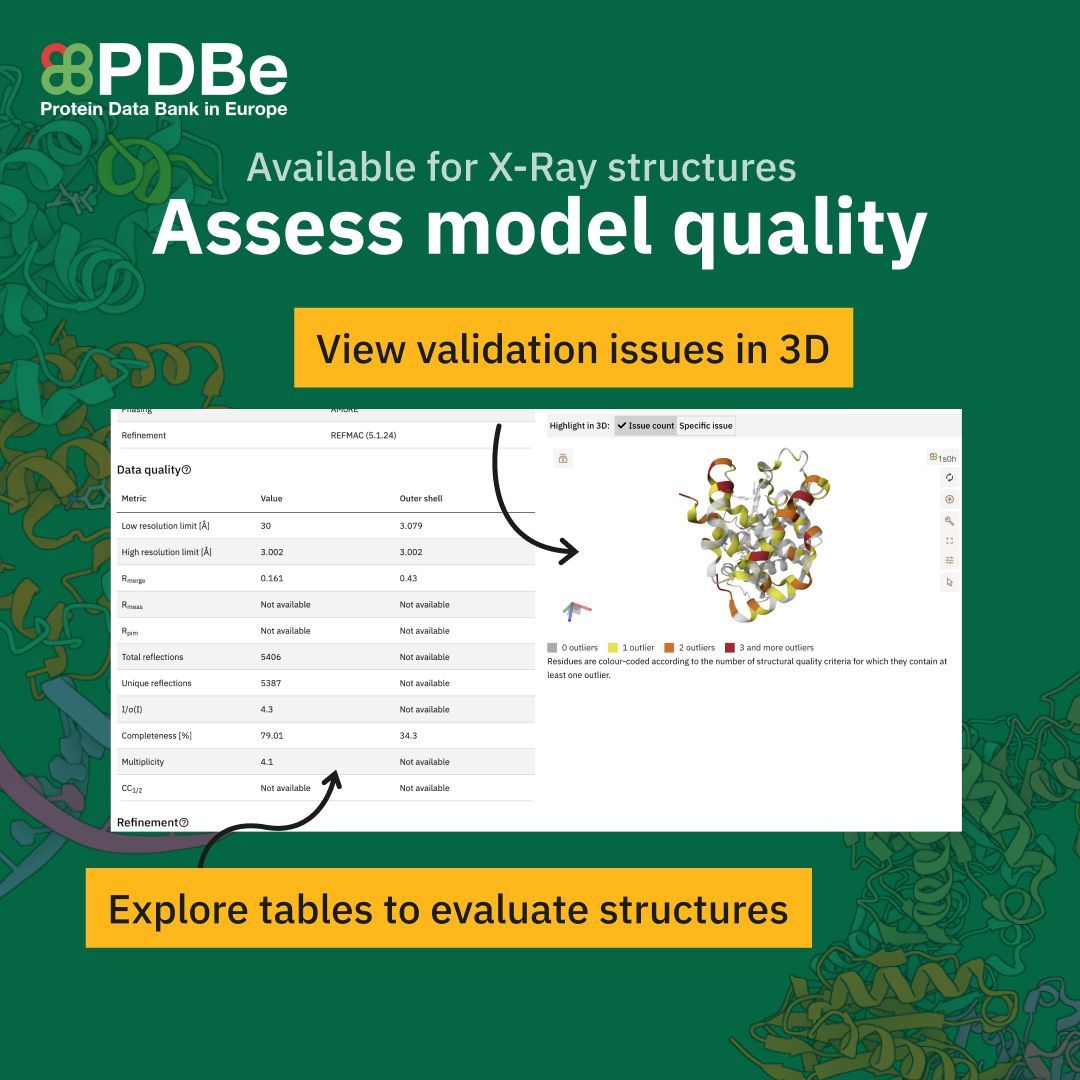 💡 Structure data is only as useful as your confidence in it.

That’s why the new PDBe entry pages feature an improved Model Quality tab for X-ray entries.

🔗 Check it out: wwwdev.ebi.ac.uk/pdbe/entry/pdb…

Cryo-EM and NMR coming soon!

#PDBeBeta #Biochemistry #Science #Crystallography