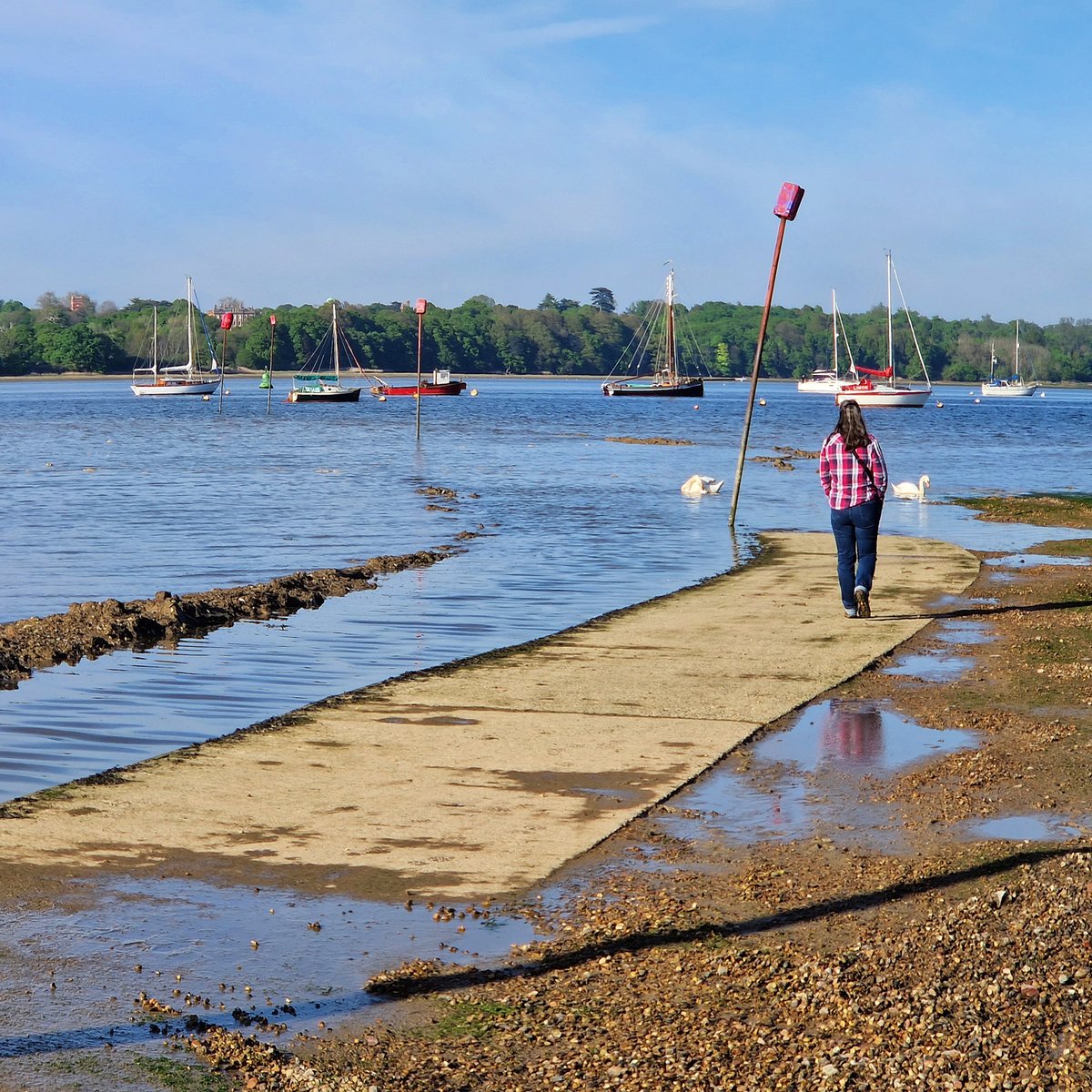 RobRambler214's tweet image. The fabulous Pin Mill 😎

#PinMill #PinMillSuffolk #Suffolk #SuffolkCoast #ButtandOyster #ShotleyPeninsula #HiddenukGems #RiverOrwell #Boats #PhotosofBritain #CoastalLife #Summertime #Countryside #HappyDays #Waterside #Coastal #VisitBritain #LoveGreatBritain #YourBritain