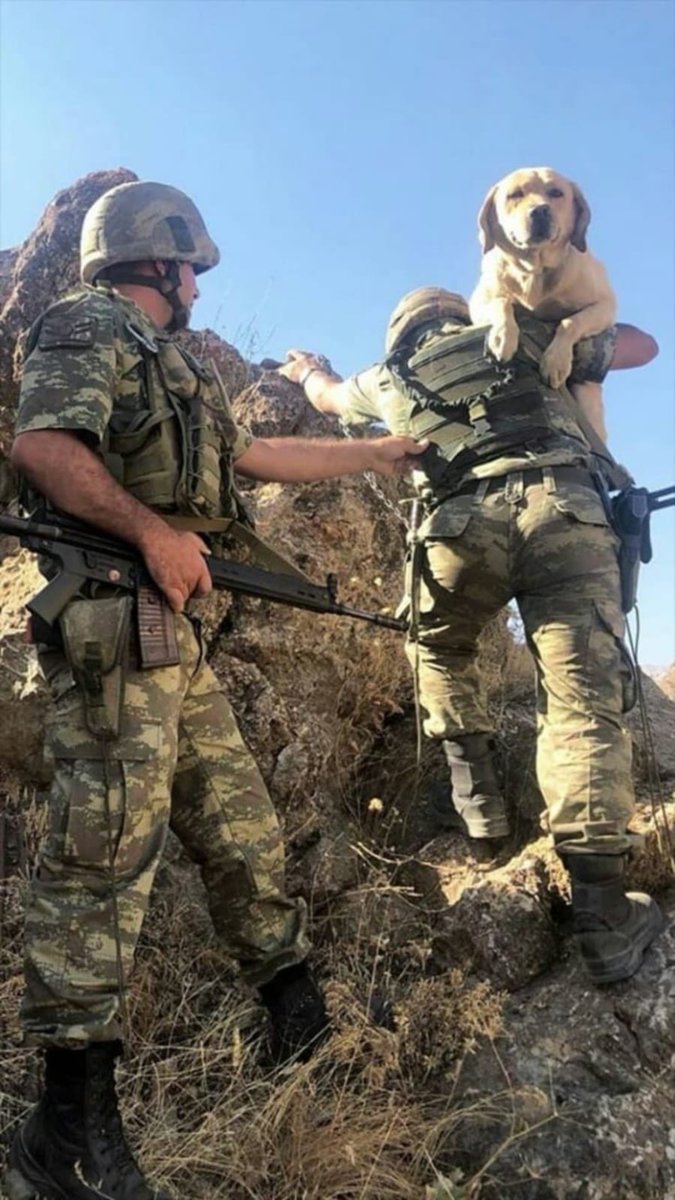 militarturk's tweet image. Dünyanın en merhametli ordusu Türk ordusudur.