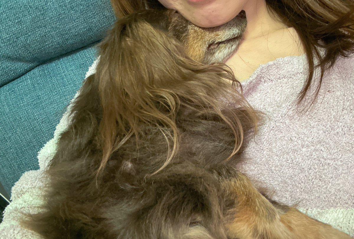 私は何も感がないのである人を信じています😌私がよく使っていた「お姉ちゃん」呼びじゃなくてﾄｯﾁｬﾝ⤵️っていうイントネーションで呼んでるらしいです🤣
6/1にくぅちゃんが私の顎下に鼻筋をぎゅっと入れて甘えん坊していたのは、私の匂いを忘れたくない！って思っていたんだそうです😌💕