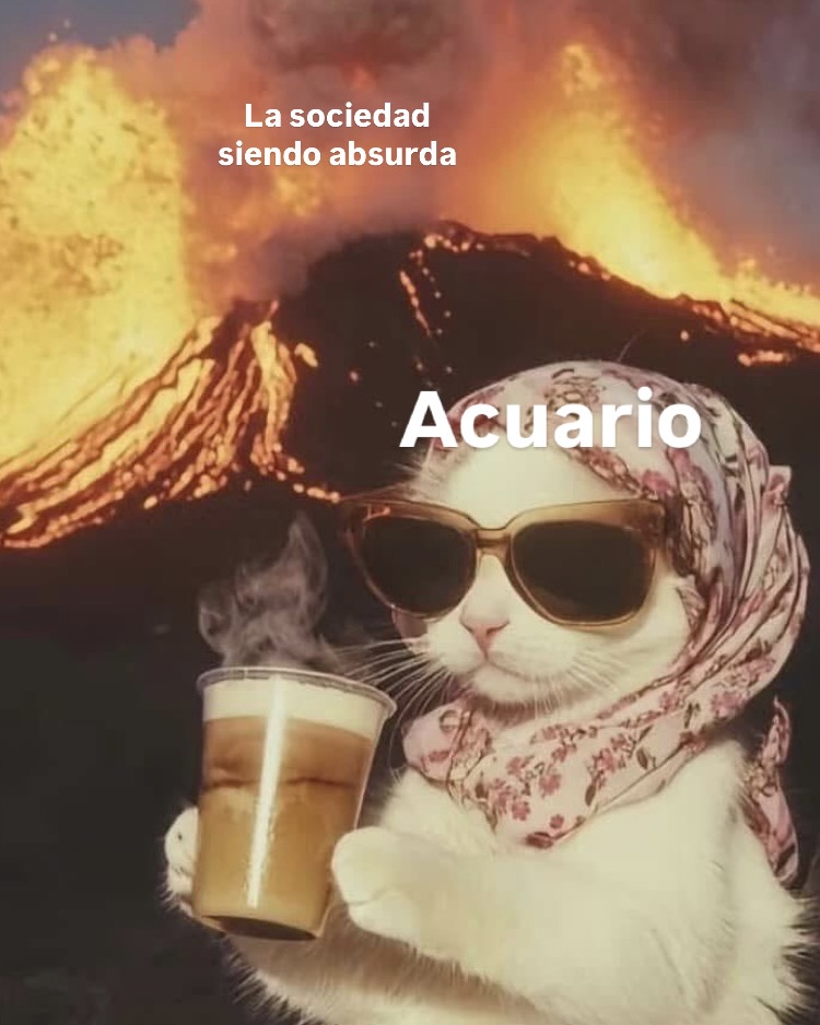 ▲ACUARIO▲ tweet media