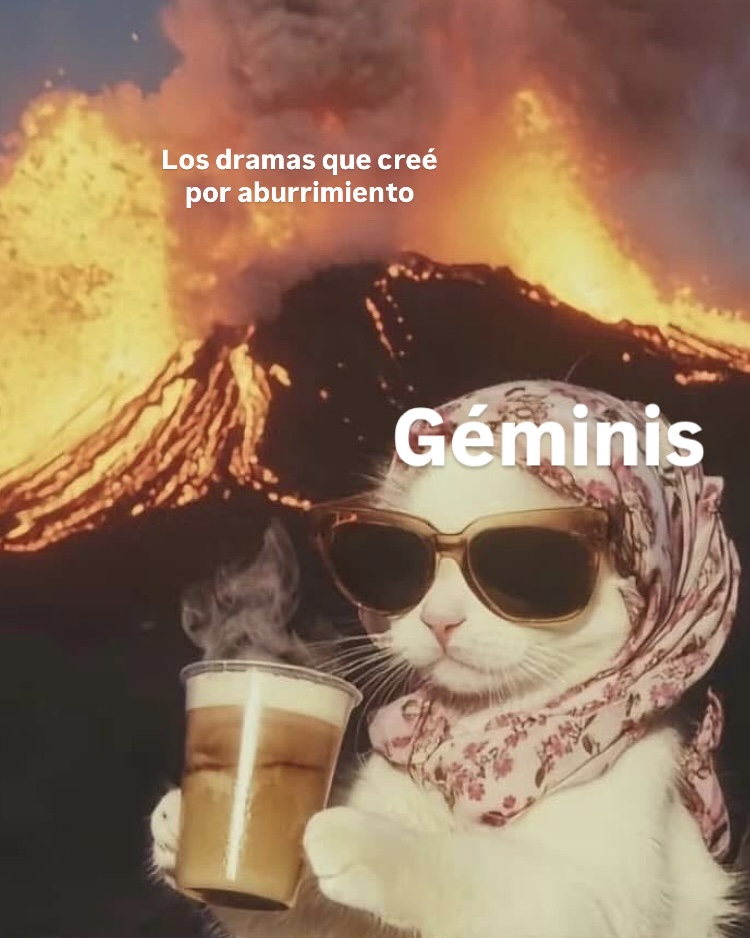geminis_hn's tweet photo. Aquí, de chill tomando algo rico 😂 https://t.co/i2n4oqlz5u