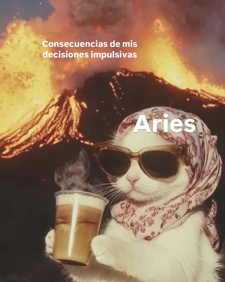 aries_hn's tweet photo. Aquí, de chill tomando algo rico 😂 https://t.co/nyUUIBQutn