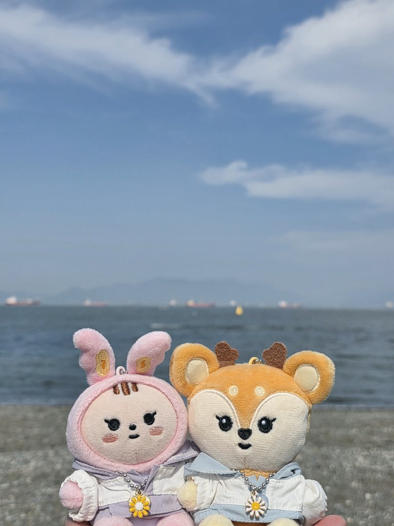1004shua1230's tweet photo. 🐰🦌🌊 https://t.co/gPN8LnWD25