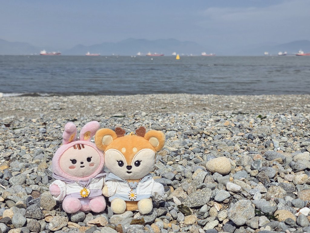 1004shua1230's tweet photo. 🐰🦌🌊 https://t.co/gPN8LnWD25