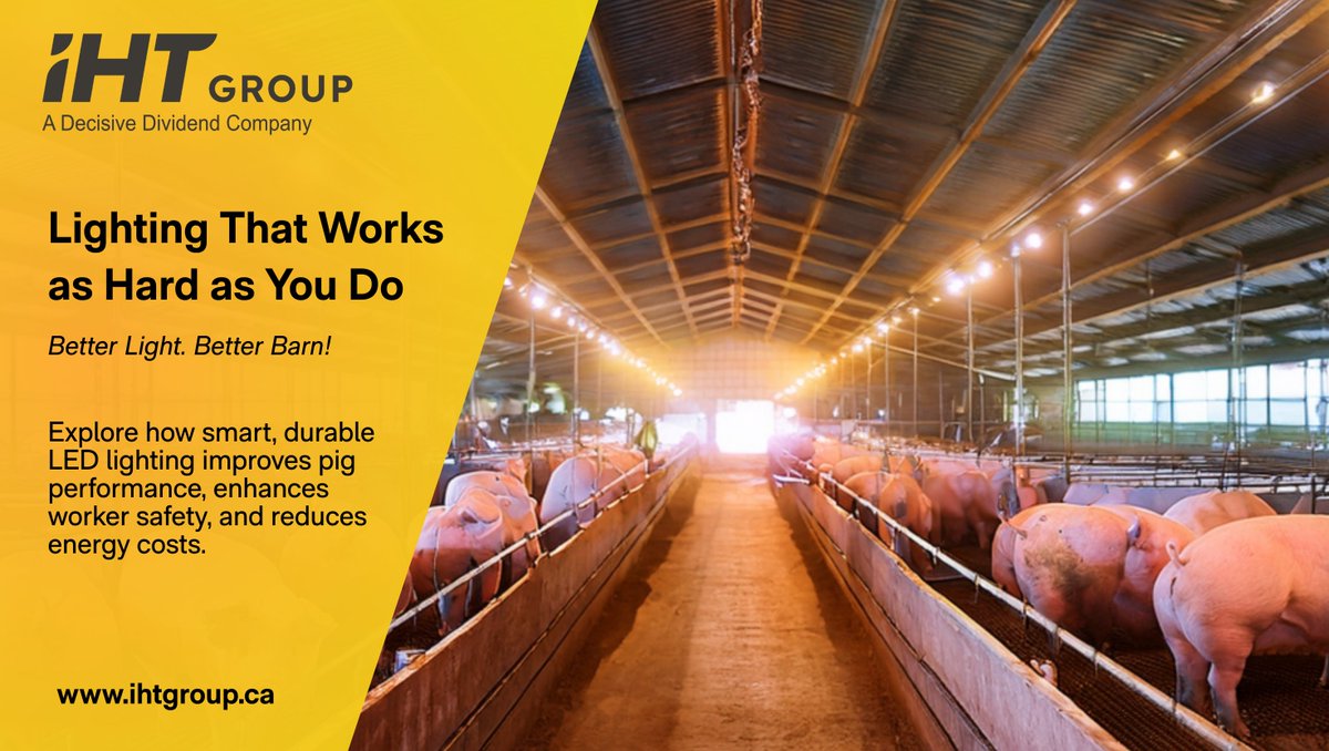 💡 Lighting isn't just about visibility, it's about performance.

Light impacts animal welfare, worker safety, productivity, and energy efficiency in swine production. IHT Lights are designed to thrive in the most demanding agricultural environments. ihtgroup.ca/news/the-power…