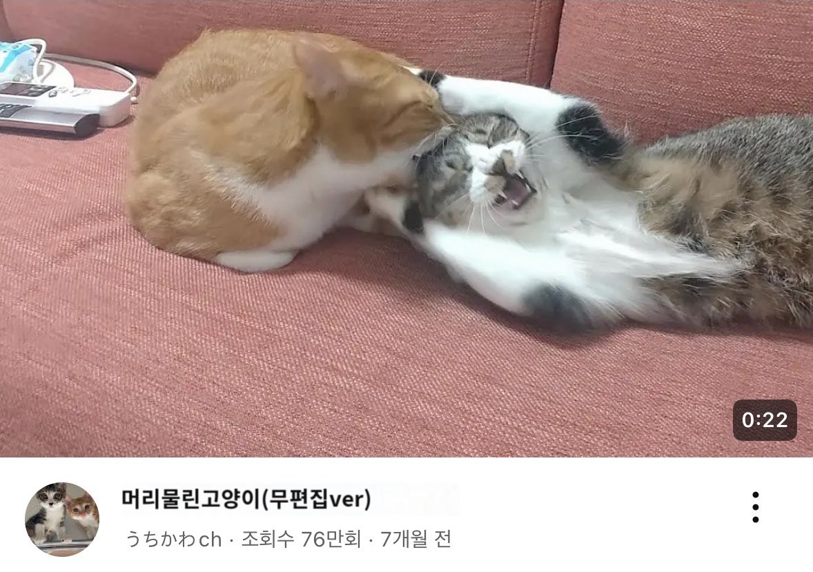 내 kky 내노라고