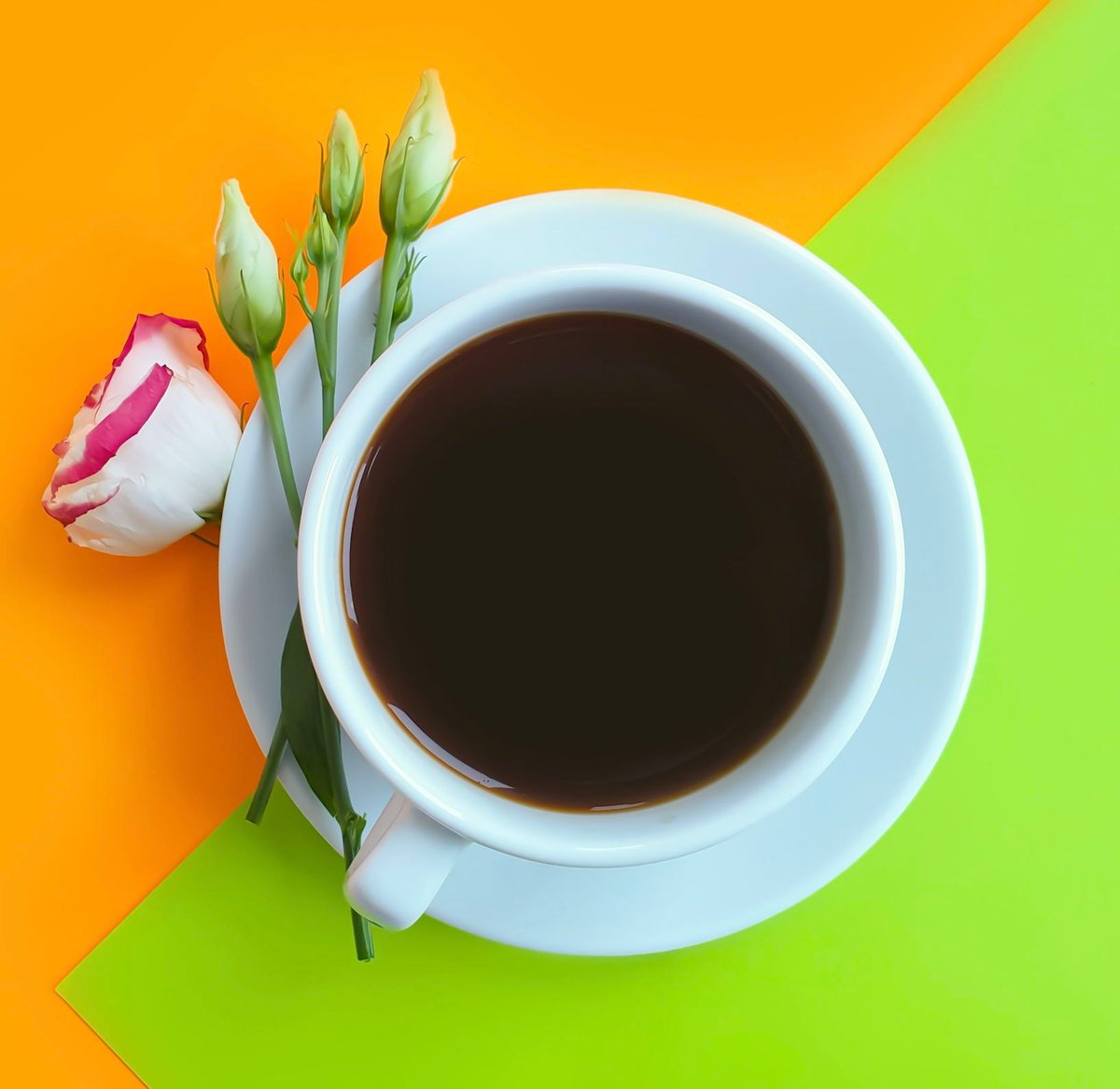 It's officially summer! Have you checked out our Summer Flavored Coffee Sampler or Iced Coffee Trio? We've got your caffeine-fix covered 😎 ☀️ 🏖️ ☕ 
buff.ly/39spaaw 

#thequeenbean #coffee #coffeelover
