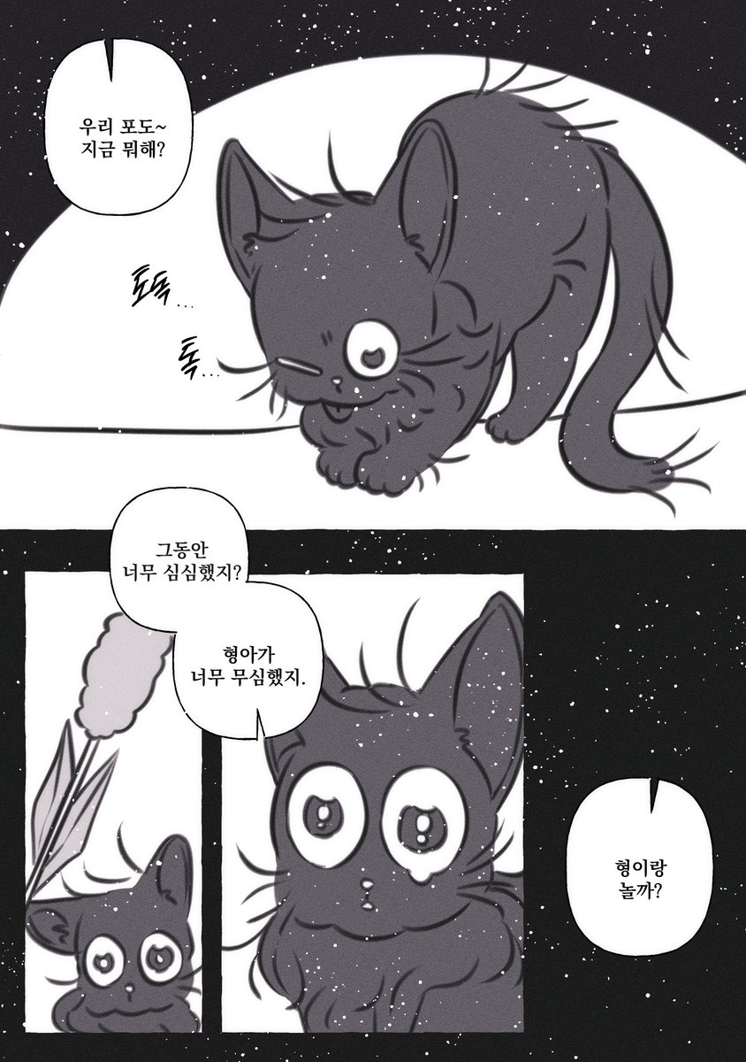 솔음냥 이야기 2 🐈‍⬛
#최솔 #요원솔음