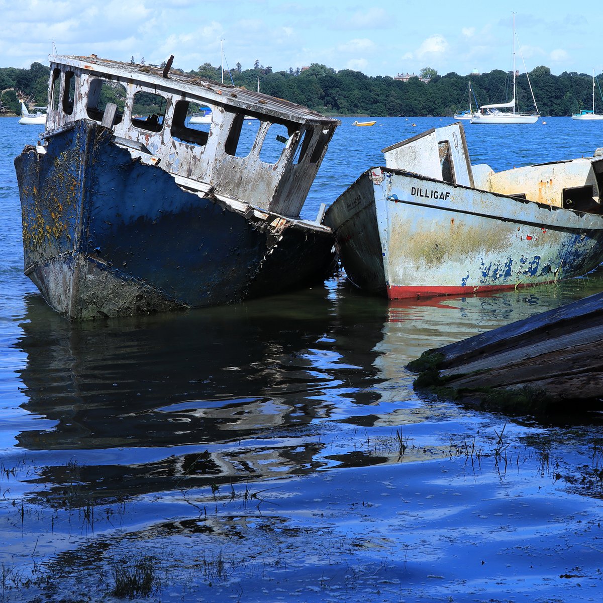 RobRambler214's tweet image. The fabulous Pin Mill 😎
@Visit_Suffolk 
@debeninns 
@thesuffolkcoast 
#PinMill #PinMillSuffolk #Suffolk #SuffolkCoast #ButtandOyster #Pub #ShotleyPeninsula #BoatGraveyard #AbandonedBoats #RiverOrwell #Boats #PhotosofBritain #CoastalLife #Waterside #Coastal #VisitBritain