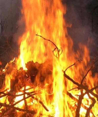 NIT DE SANT JOAN

Nit,
la més curta,
la més viscuda,
la més reeixida
de tot l’any.

Foc
purificador,
renovador,
sanador,
vivificador.

Herbes
guaridores,
exposades
més temps
al sol.

Aigües
virtuoses
embelleixen
i guareixen
a mitjanit. (1)

     Carme Romia i Agustí. 23–6-25.