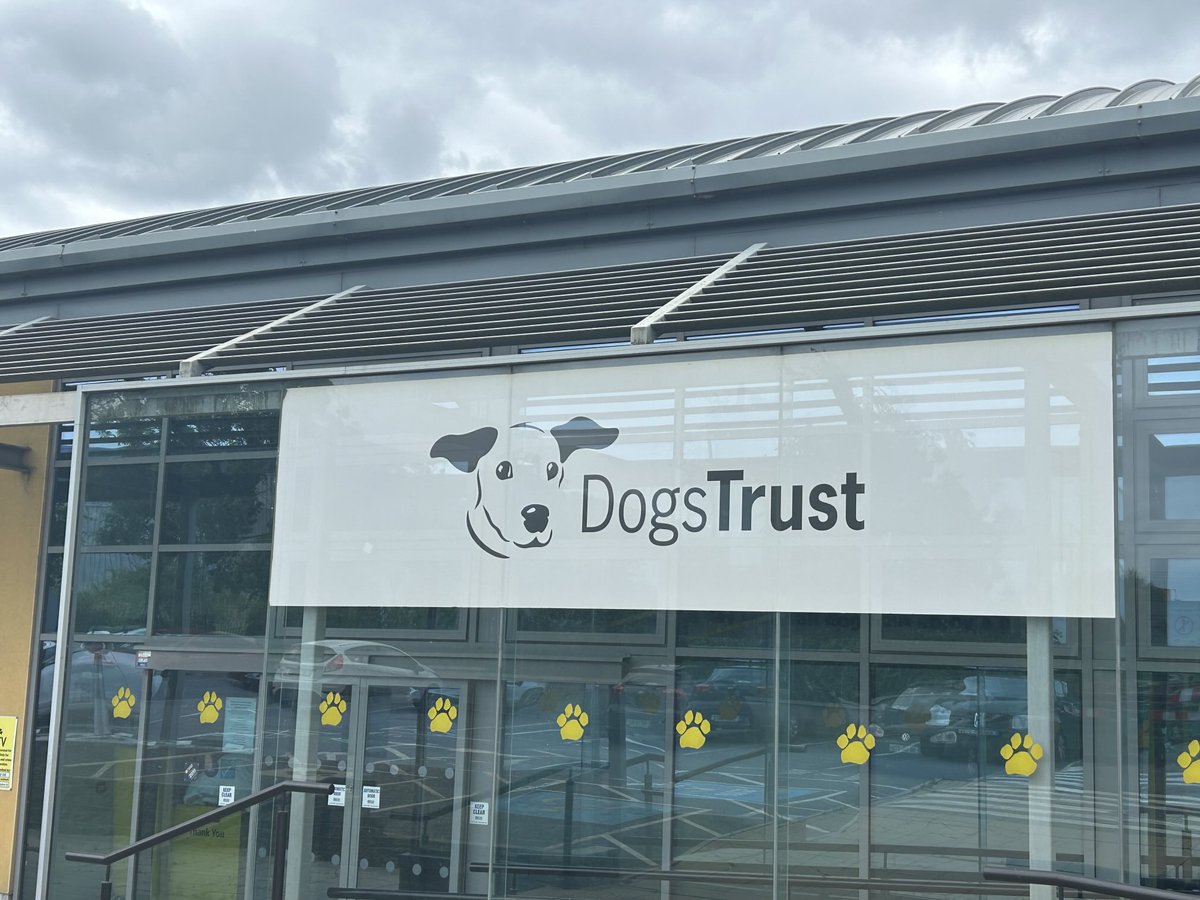 Ivana Bacik (@ivanabacik) on Twitter photo A pleasure to meet so many beautiful dogs today at <a href="/DogsTrust_IE/">Dogs Trust Ireland</a> #Dublin #Fingal
Good to be there with local <a href="/labour/">The Labour Party Ireland</a> reps <a href="/RobertodLabour/">Robert O Donoghue</a> & <a href="/JohnWalshDWest/">John Walsh</a> A pleasure to meet so many beautiful dogs today at <a href="/DogsTrust_IE/">Dogs Trust Ireland</a> #Dublin #Fingal
Good to be there with local <a href="/labour/">The Labour Party Ireland</a> reps <a href="/RobertodLabour/">Robert O Donoghue</a> & <a href="/JohnWalshDWest/">John Walsh</a>