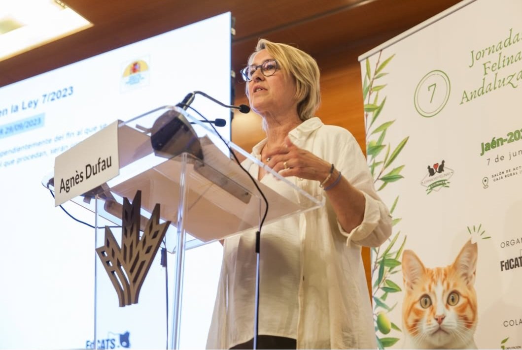 FdCATS (@fdcats) on Twitter photo 🗣️ Ya disponible la ponencia de AgnèsDufau <a href="/catadicta/">Agnes Dufau</a> en las VII Jornadas Felinas Andaluzas 🐾
💠Imperdible para entender y proteger!!!
📌 Reflexión sobre los 2 años de la Ley 7/2023: avances, obstáculos y buenos ejemplos.
🎥 Mírala aquí 👉 youtube.com/watch?v=JE-QAo…
#JFA2025 🗣️ Ya disponible la ponencia de AgnèsDufau <a href="/catadicta/">Agnes Dufau</a> en las VII Jornadas Felinas Andaluzas 🐾
💠Imperdible para entender y proteger!!!
📌 Reflexión sobre los 2 años de la Ley 7/2023: avances, obstáculos y buenos ejemplos.
🎥 Mírala aquí 👉 youtube.com/watch?v=JE-QAo…
#JFA2025