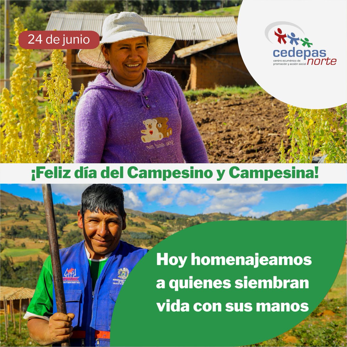CEDEPASNorte's tweet photo. 👩‍🌾👨‍🌾Hoy reconocemos el valor de quienes, con esfuerzo y constancia, sostienen la seguridad alimentaria, la biodiversidad y las economías locales.
🌱Reafirmamos nuestro compromiso para continuar fortaleciendo su trabajo y sus organizaciones con formación y asistencia técnica. https://t.co/mpPJR6mtOe