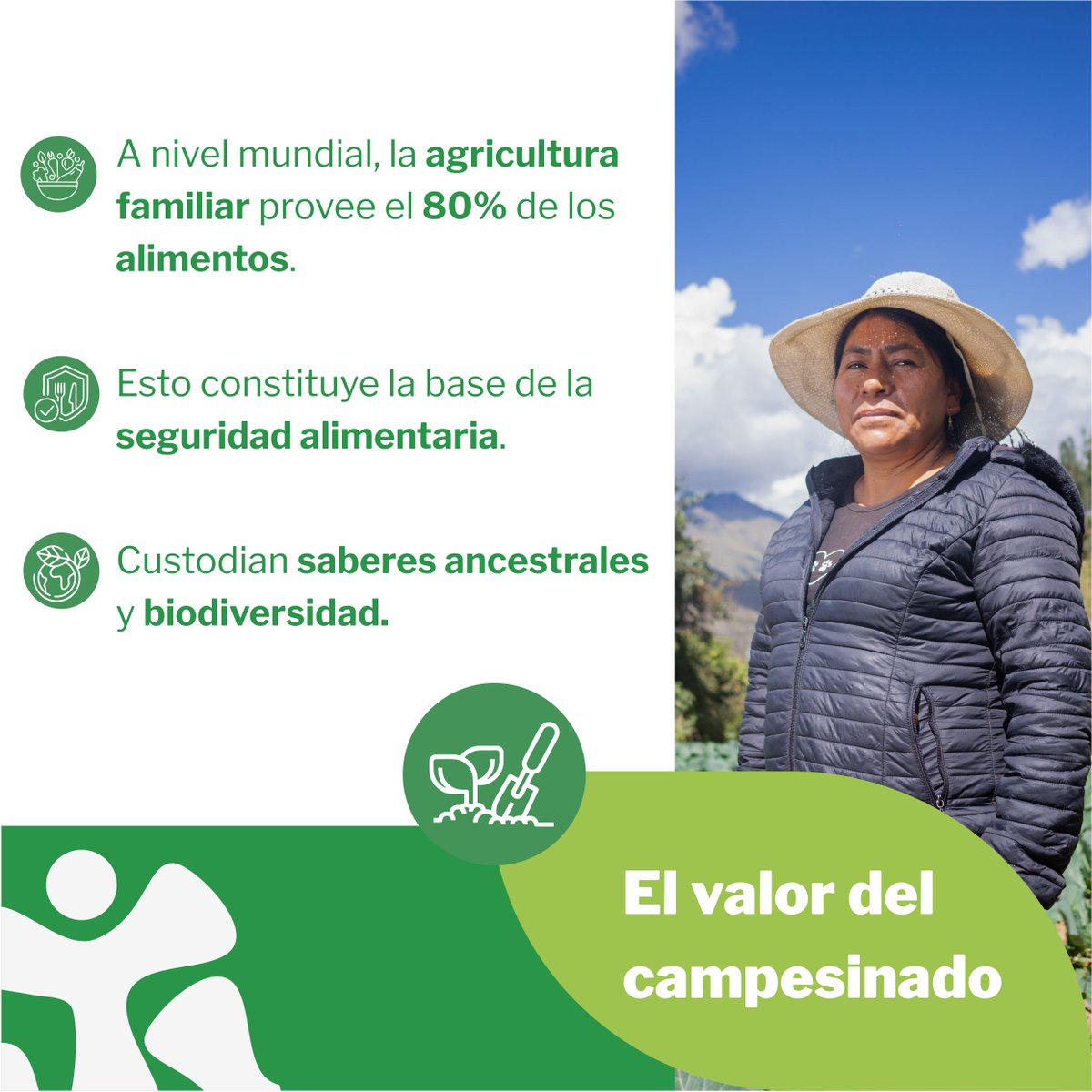 CEDEPASNorte's tweet photo. 👩‍🌾👨‍🌾Hoy reconocemos el valor de quienes, con esfuerzo y constancia, sostienen la seguridad alimentaria, la biodiversidad y las economías locales.
🌱Reafirmamos nuestro compromiso para continuar fortaleciendo su trabajo y sus organizaciones con formación y asistencia técnica. https://t.co/mpPJR6mtOe