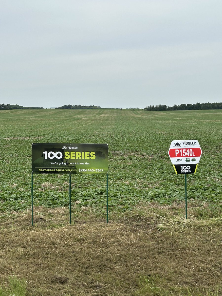 PioneerSeedsCA's tweet photo. Getting ramped up for tour season!♾️🌾 

#Pioneer100Series #MeaningfullyDifferent #EvolutionofCanola #SuperiorYield https://t.co/YyRge8Okc9