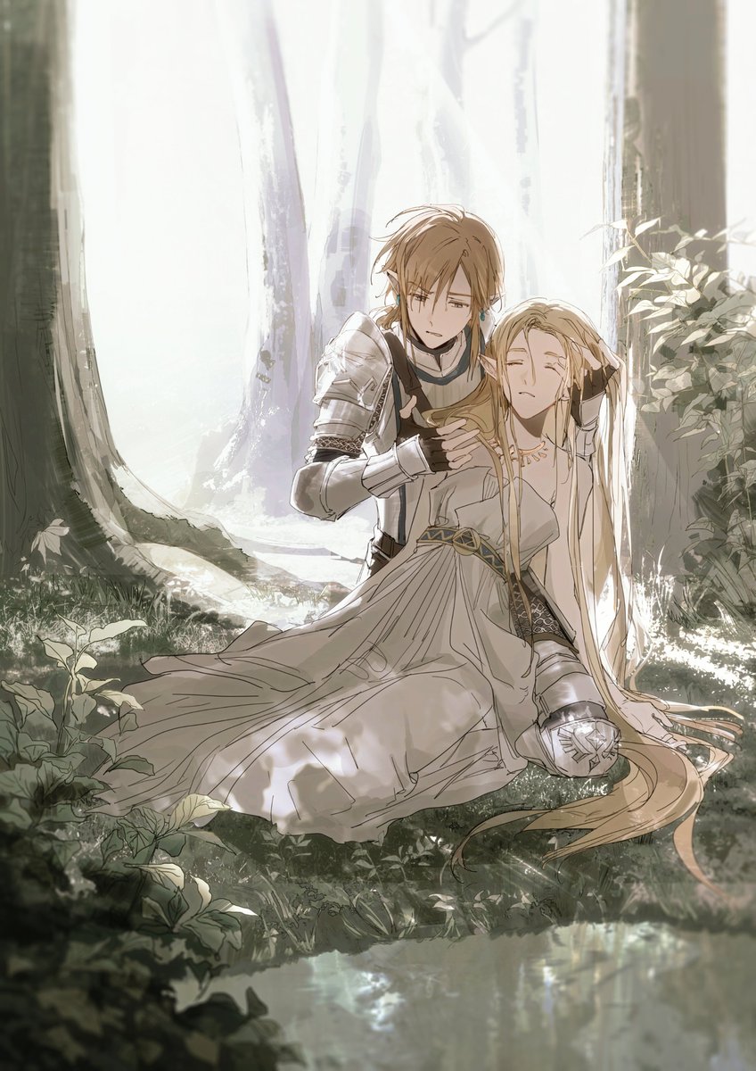 #zelda #zelink
