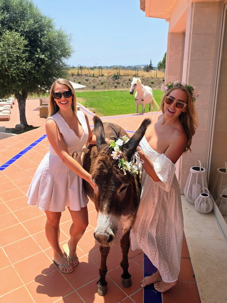 CryptoMegan.ath tweet media