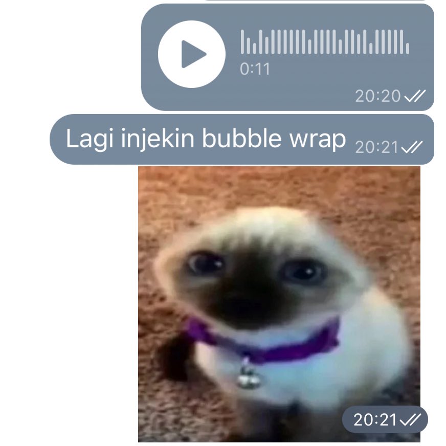 New experience selain injek rumput adalah injek bubble wrap.