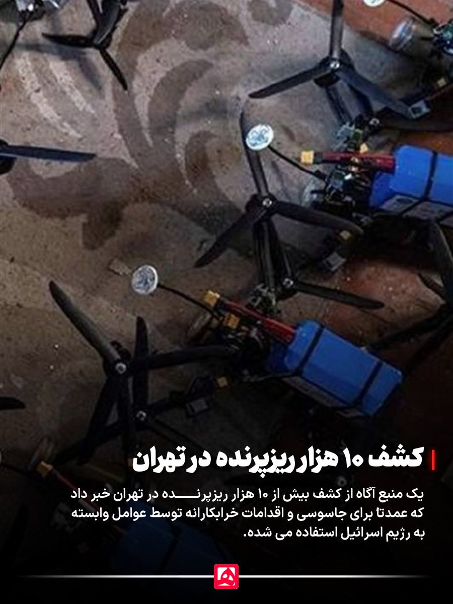 کشف ۱۰ هزار ریزپرنده در تهران با کمک مردم