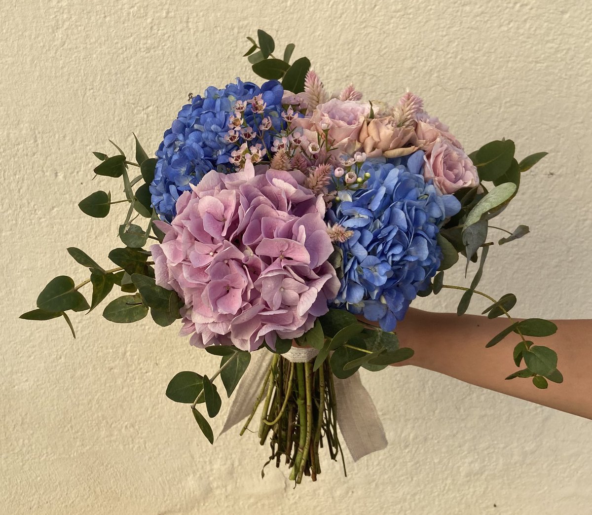 <a href="/maria3ferron/">maria ferron solà</a> 
<a href="/cartutxu/">Txus</a> 
#florsiamor