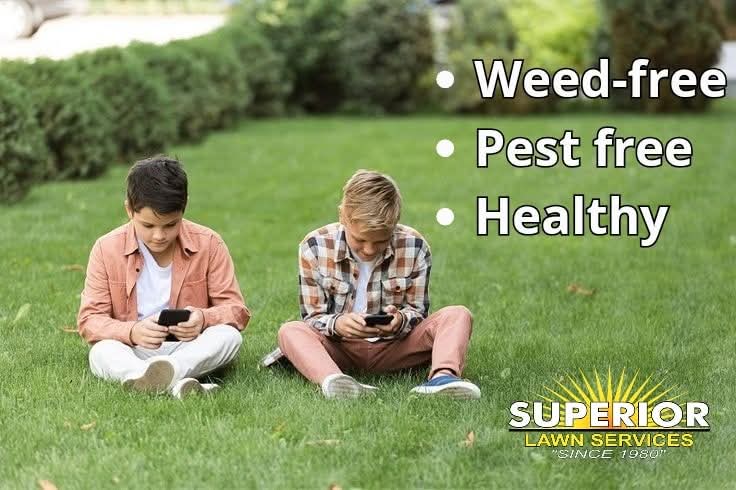 superiorlawnsvs's tweet photo. #LushLawn #CurbAppeal #armyworms #superiorlawnsvs #beautifullawn #4noweeds #greengrass #lawncare #lawntreatments #greenlawn #healthylawn #noweeds #weedfree #sls #jonesboro #arkansas #billbugs https://t.co/qe7m8Cw045