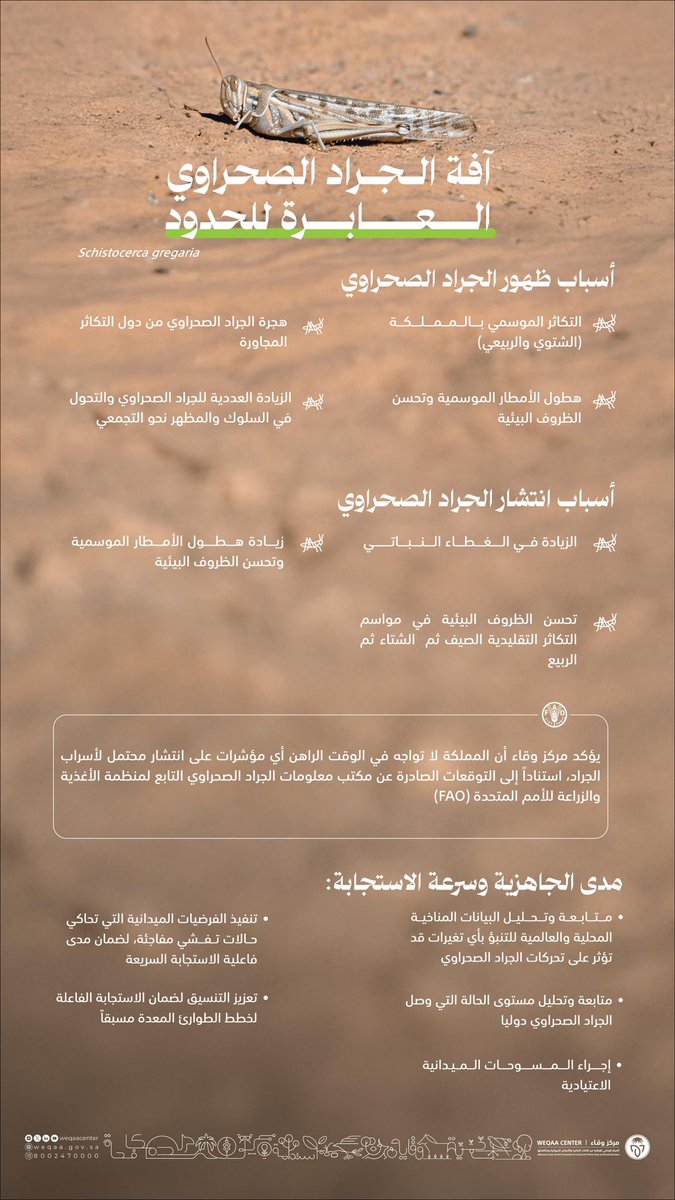 يُعد انتشار #الجراد_الصحراوي خلال بعض المواسم أمرًا طبيعيًا، لا سيما في الفترة ما بين أكتوبر وحتى أبريل، حيث تتوفر الظروف البيئية المناسبة لتكاثره وتحركه.
ويؤكد #وقاء أن المملكة – ولله الحمد – خالية حاليًا من أي أسراب جراد صحراوي، مع استمرار عمليات الرصد والمراقبة الميدانية.