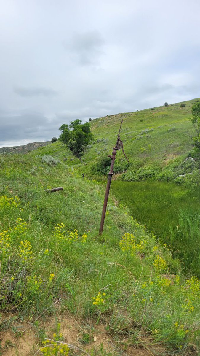 Either we’ve had some 6’ of erosion in the last 100 years, or there were some real big homesteaders.