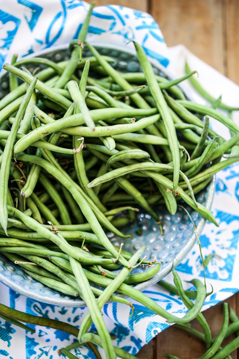 Got a glut of beans? Store them in the fridge &amp; they'll stay fresher for longer. Don't wash them until you're ready to eat them as the moisture can increase moulding. 
For more #SeasonalFood storage tips see 🔗foodsavvy.org.uk/eat-seasonally