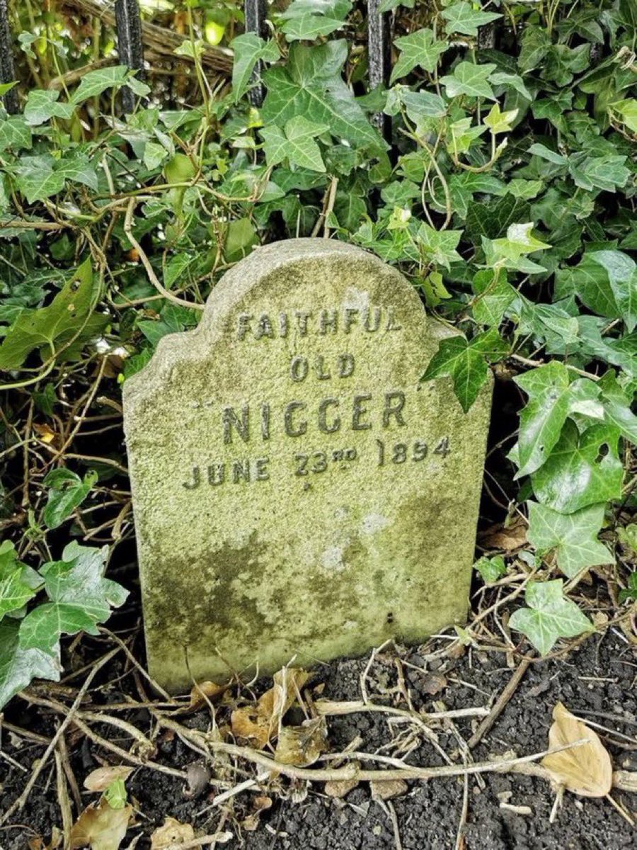 Blair Cocksmell (@bcocksmell4482) on Twitter photo 