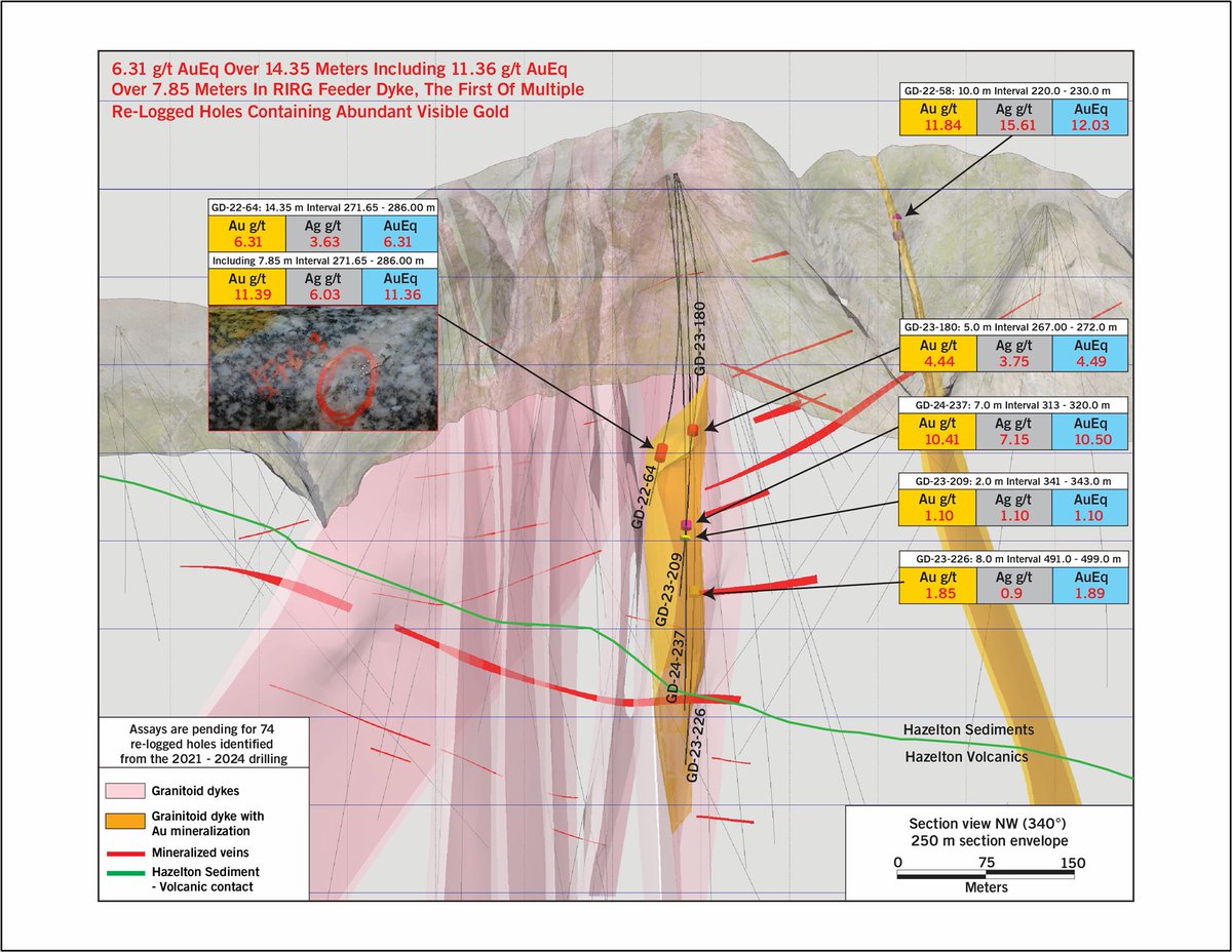 GoliathResource's tweet image. The gold-rich feeder dyke intersected in GD-22-64 contains many occurrences of #gold visible to the naked eye up to 1 mm in diameter. It is one of the many Reduced Intrusion Related Gold (RIRG) feeder dykes believed to be directly related to the causative intrusion (Motherlode…