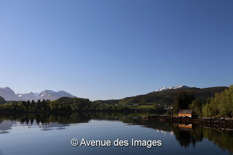 Avenue des Images tweet media