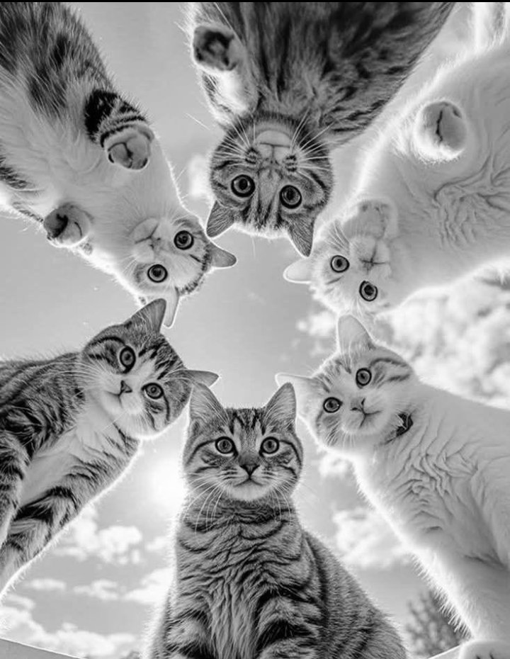 La felicidad, "esa sensación 
de ser uno con el universo",
es algo que no se puede comprar.

Vivimos en una sociedad,
 donde el placer se confunde
 con la felicidad,
y se vende en sus diferentes presentaciones...