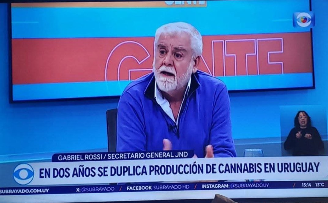 Dentro de unos años, cuando el país enfrente todos los efectos secundarios del cannabis recreativo, potenciado por las altas dosis de su principio activo, que te vende el propio estado sin saber sus consecuencias, lamentaremos esto.
Pero nos decían: 
Festejen uruguayos festejen!!
