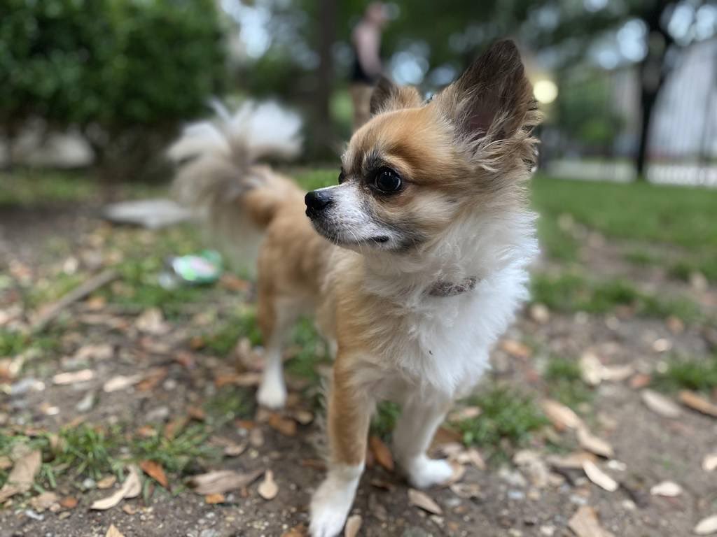 Mac 🍔 tweet media