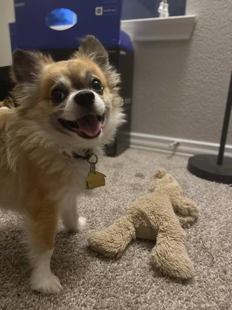 Mac 🍔 tweet media