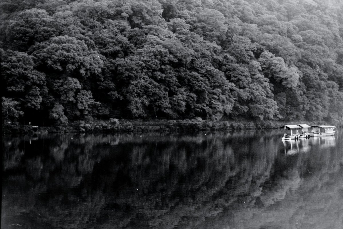 norikazu_inoue's tweet photo. 嵐山散歩_3748。
ISO800に増感。
SPD 1:1 20℃ 17分。
#kyoto
#arashiyama
#フイルム写真
#ニコンf801
#afnikkor50mm_f18d
#マリックス200
#ei800 https://t.co/qD8Tw3av0p