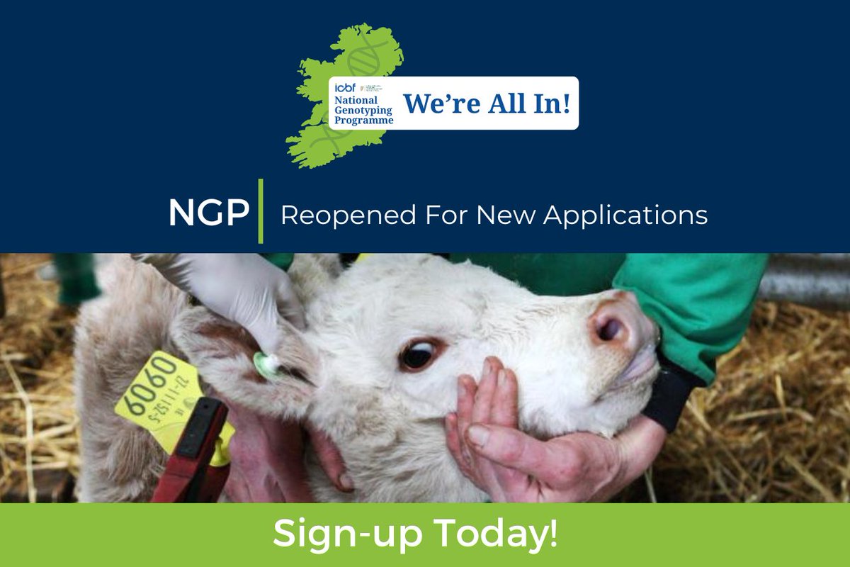 The NGP is reshaping the future of Irish dairy and beef production. By making genomic testing widely available and affordable, the programme offers powerful tools for improving genetic accuracy, herd health, profitability, and environmental performance.
icbf.com/would-you-like…